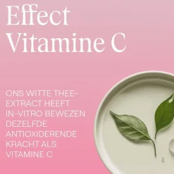 New Weleda Wilde Rozen & Witte Thee Vitaliserende Oogcontourcrème 12 ML